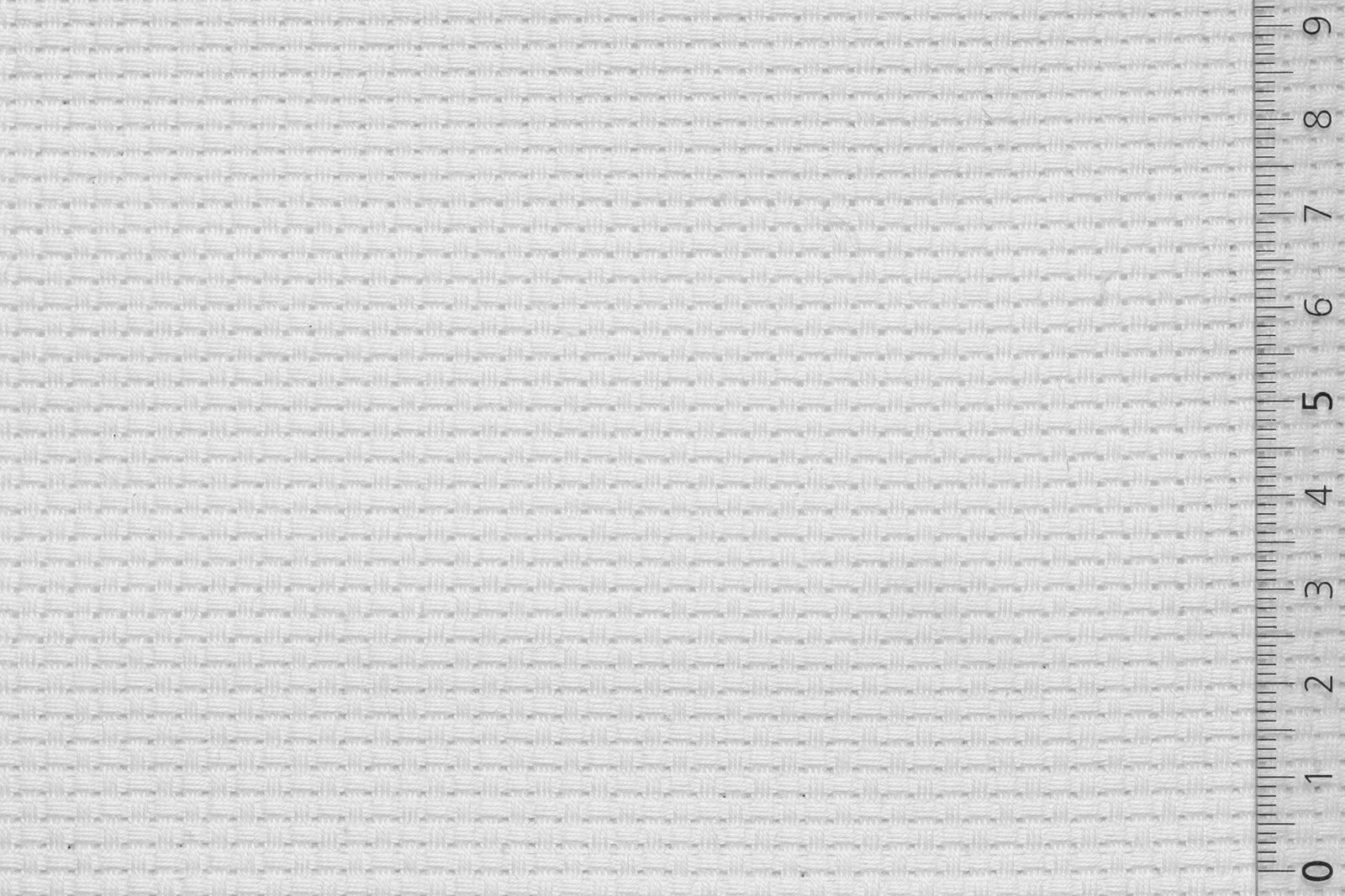 06PSA32WHIxxxCOT[PSATHOTO 32](WHITE)F